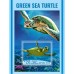 Фауна Зелёная морская черепаха